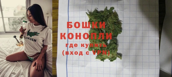 сатива Мегион