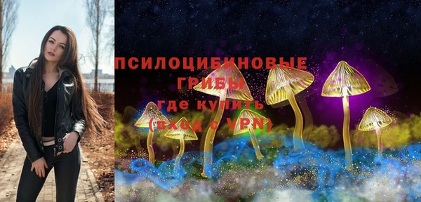 дурь Абаза