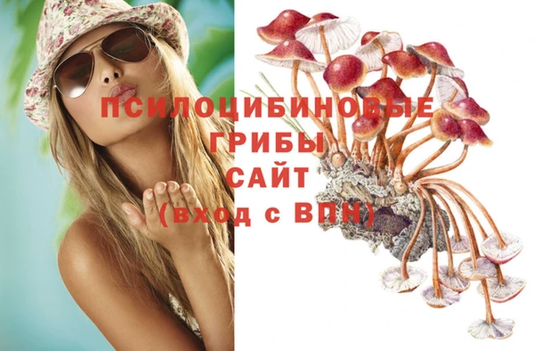 гашик Верея