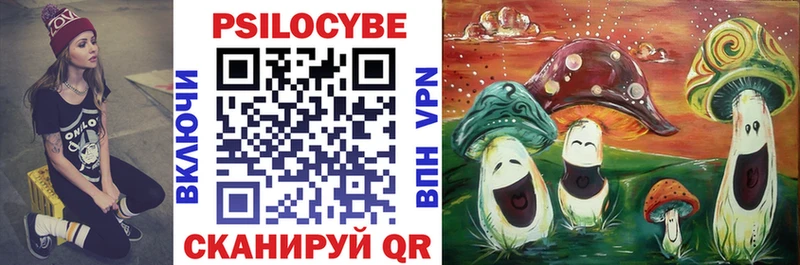 Псилоцибиновые грибы Psilocybine cubensis  Сызрань 
